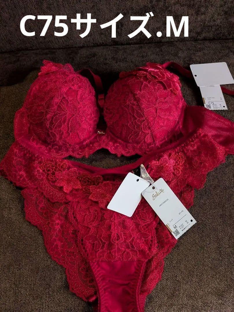 ワコール、サルート最新27グループ、ブラC75、ソングショーツM。