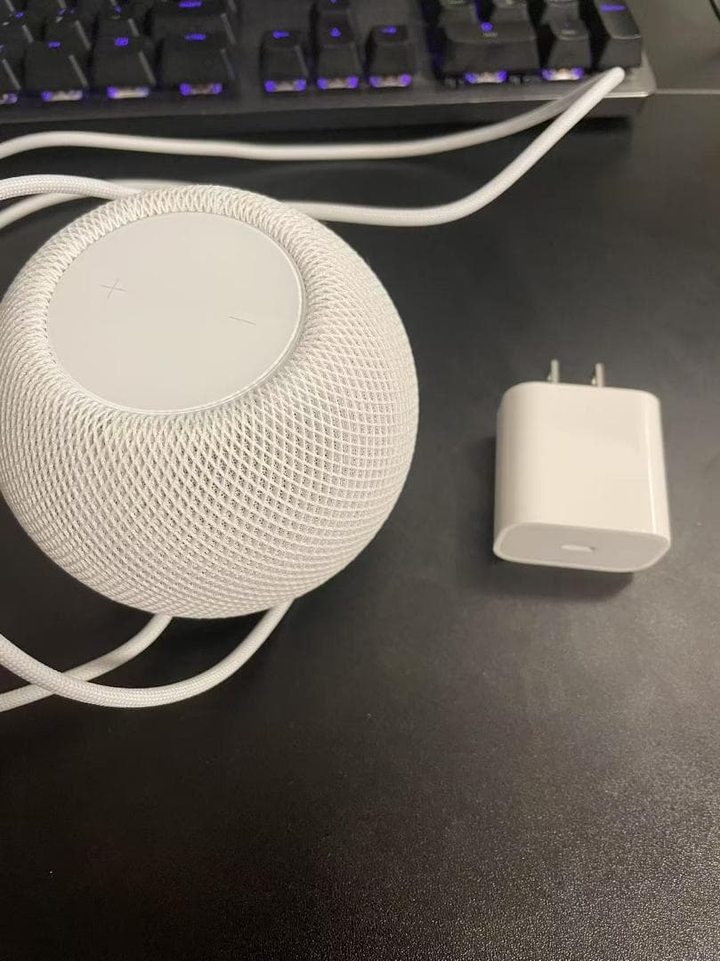 Apple Pod mini ホワイト ACアダプタ付き