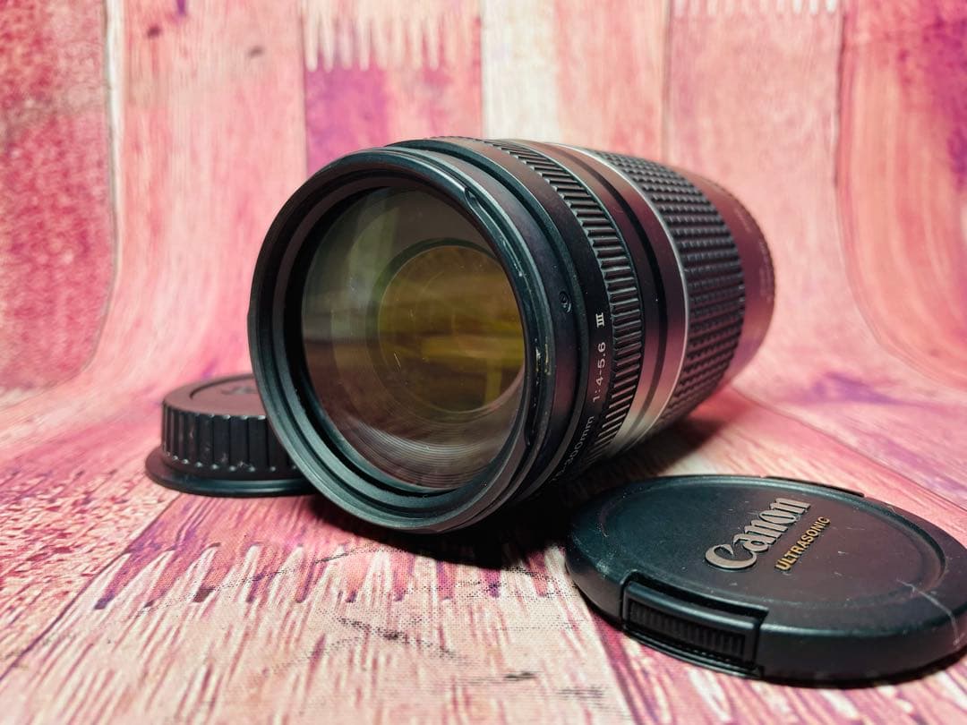 CANON キャノン EF 75-300mm 1:4-5.6 Ⅲ