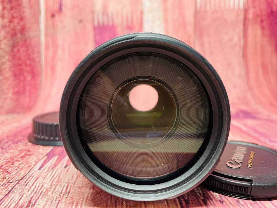 CANON キャノン EF 75-300mm 1:4-5.6 Ⅲ