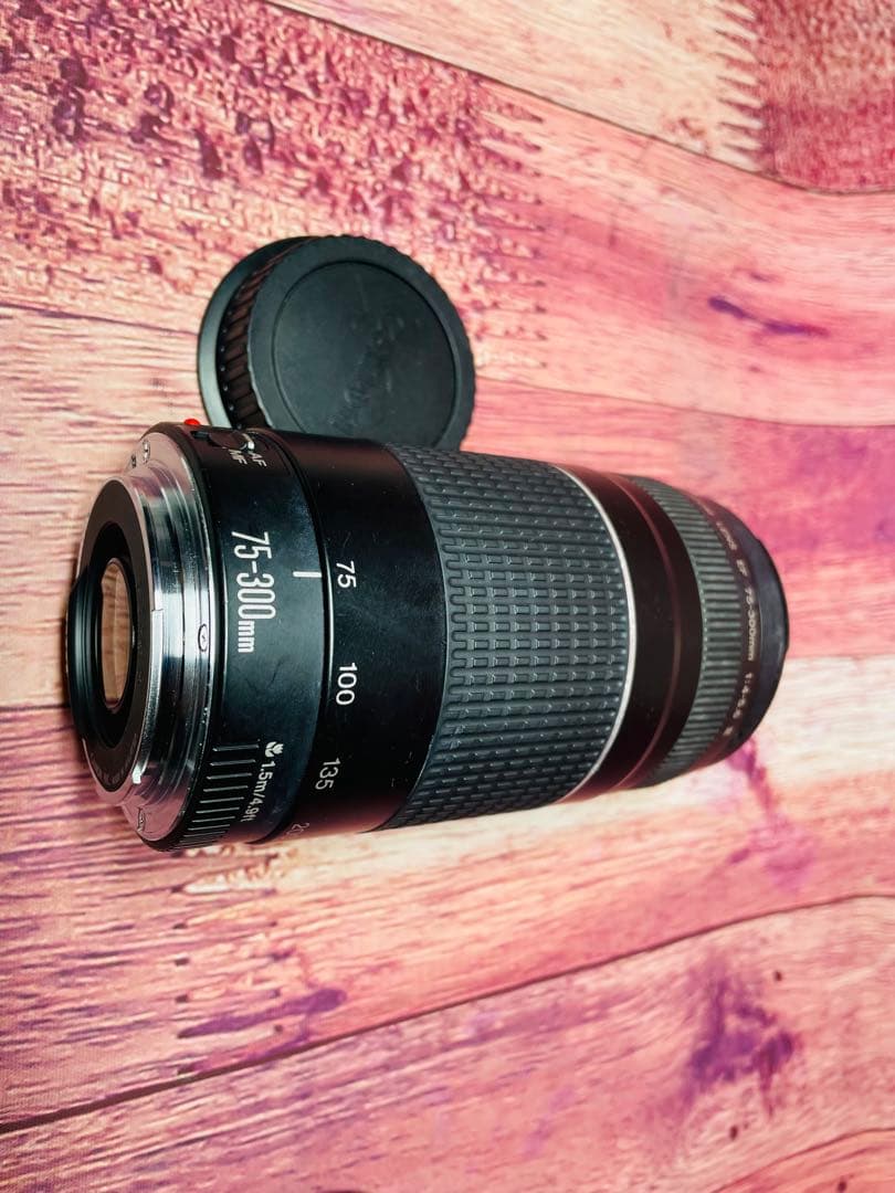 CANON キャノン EF 75-300mm 1:4-5.6 Ⅲ