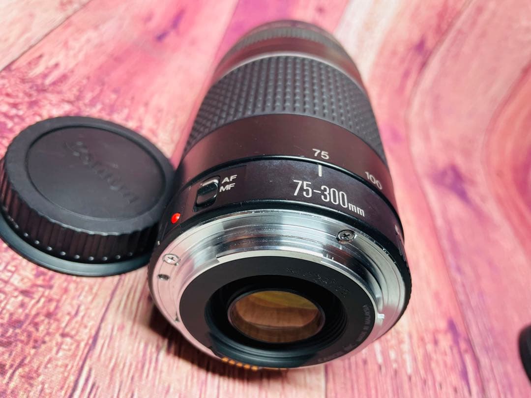 CANON キャノン EF 75-300mm 1:4-5.6 Ⅲ