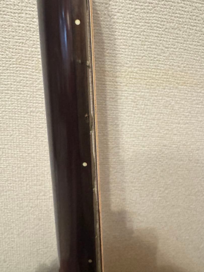 ギター Epiphone / Masterbilt Century Collection