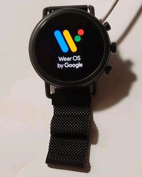 Skagen Falster 2 SKT5100 スマートウォッチ＋おまけ