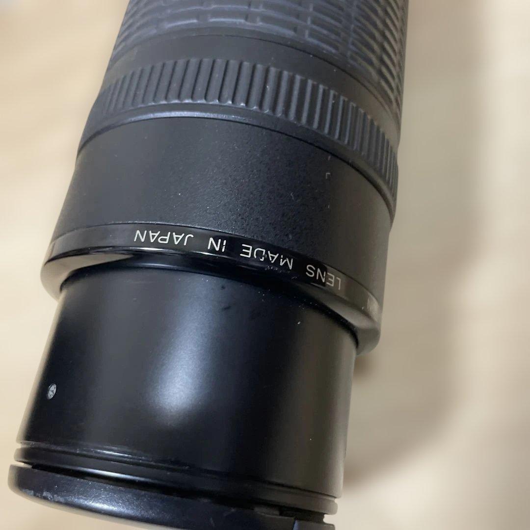Canon EF 100-300mm f/5.6 ズームレンズ