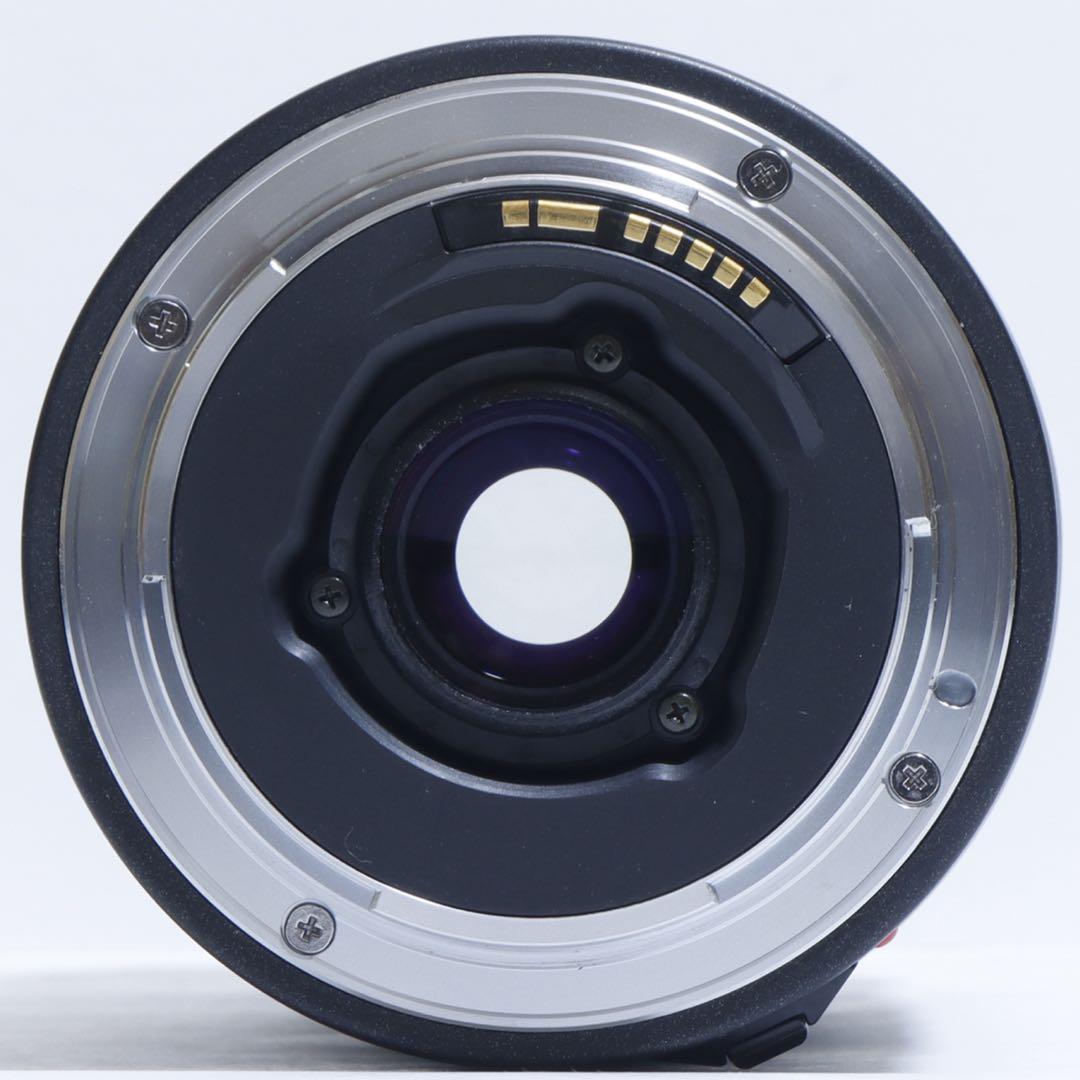 ◇大迫力300mm超望遠◇ TAMRON 100-300mm for Canon