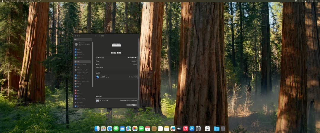 Apple Mac mini M1 メモリ 16GB/SSD 1TB