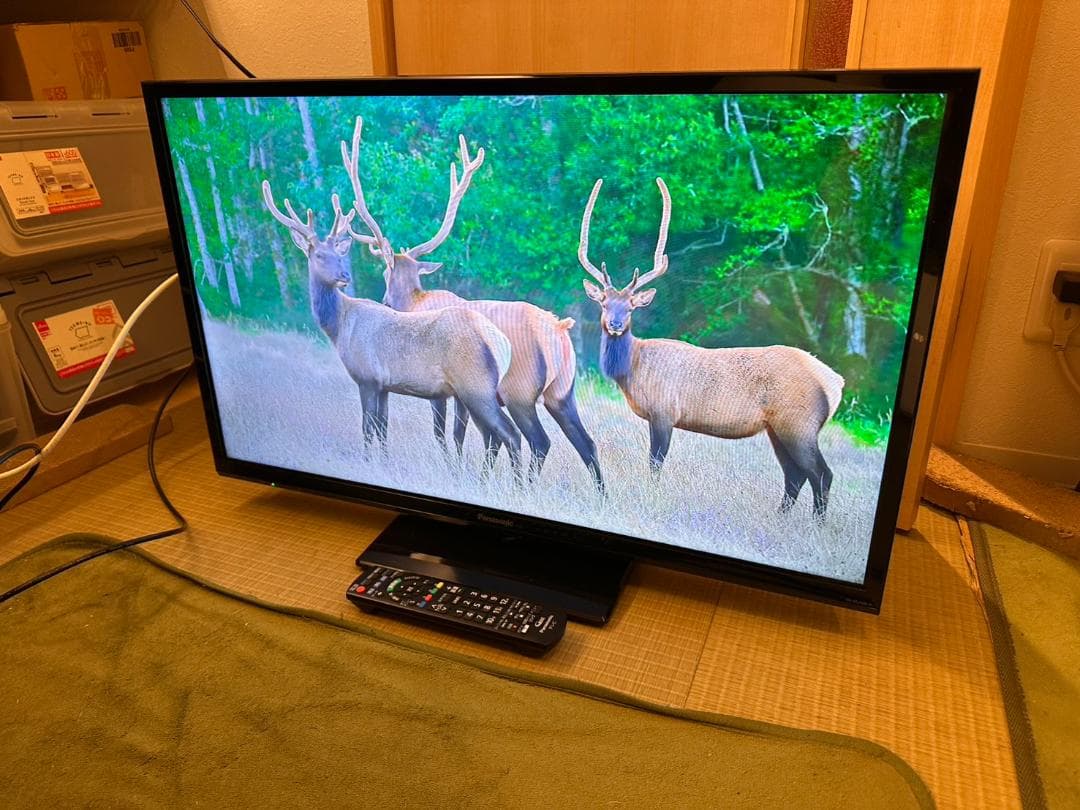 2025年!Panasonic　パナソニック 32型 テレビ TH-32J300