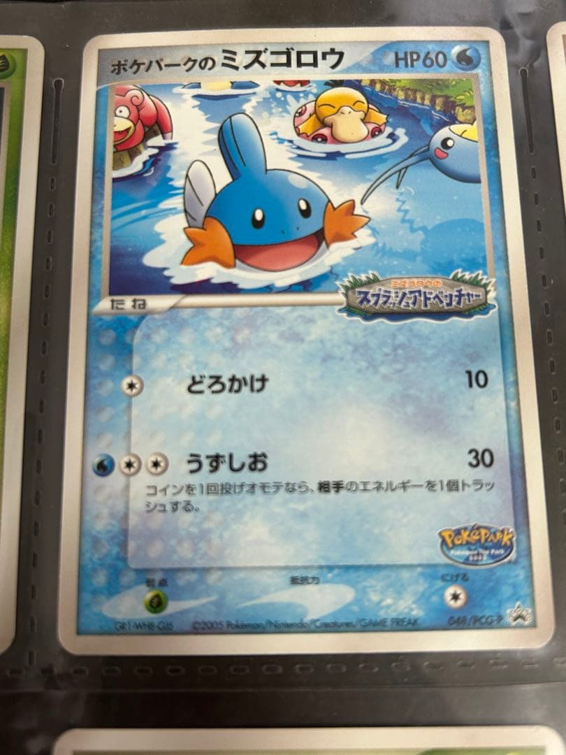 ポケカ　ポケパーク特典