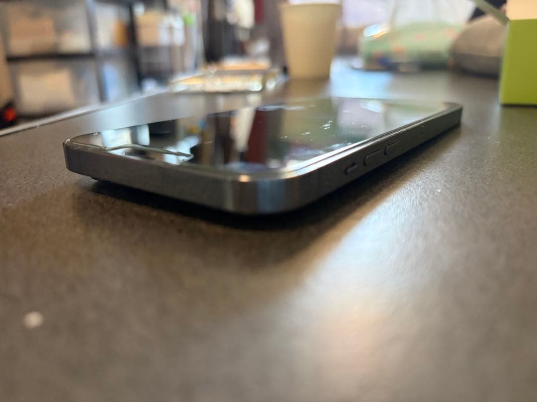 Apple iPhone 13 Promax シエラブルー　本体