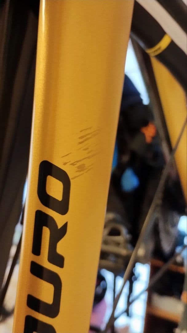 グスト RCR DURO Team Limited 　ロードバイク　キシリウム