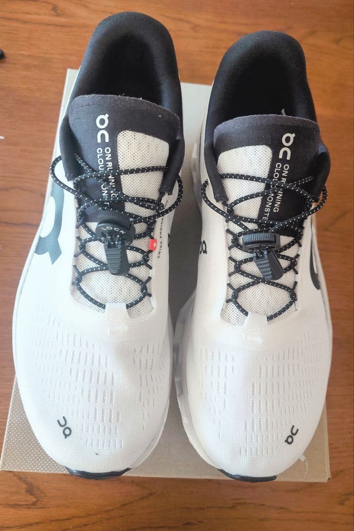 On Cloudmonster2　クラウドモンスター2（ 27.0cm）