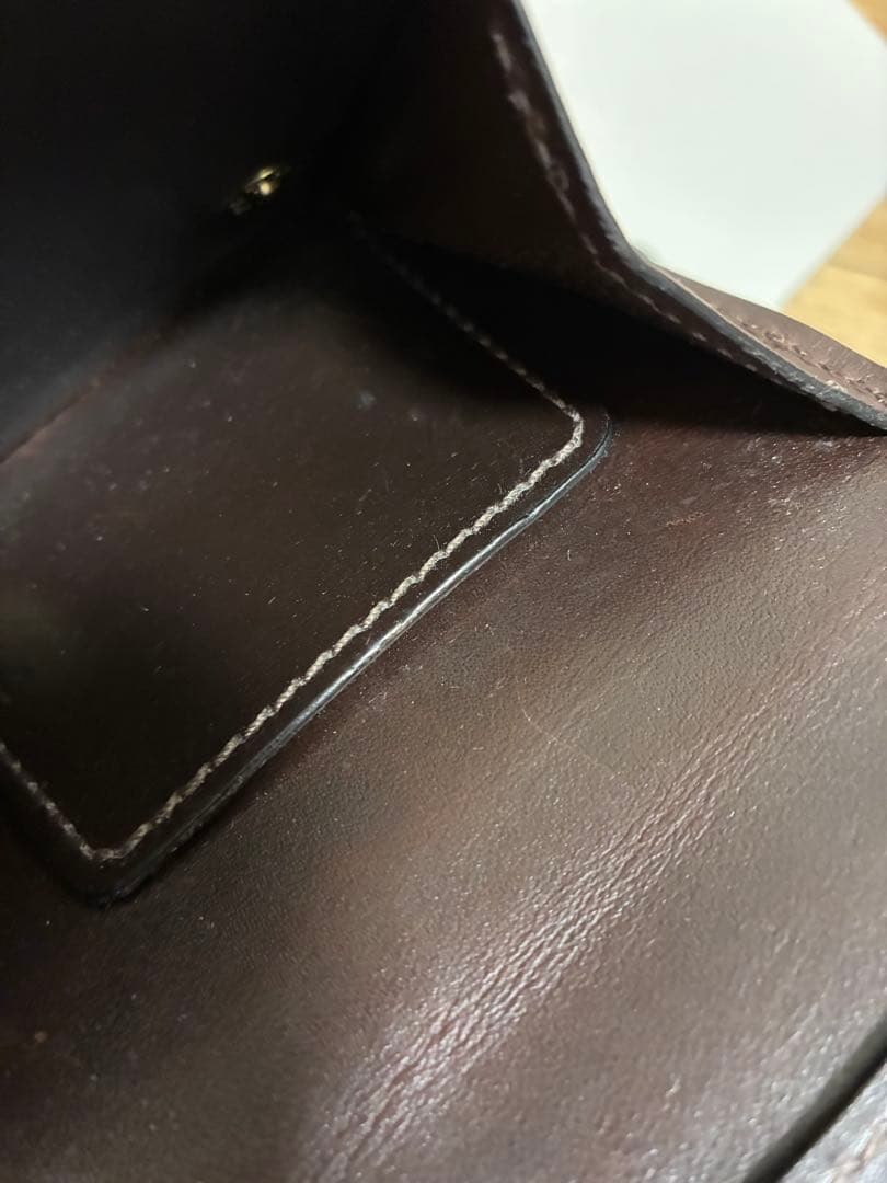 ワイルドスワンズ　CROCODILE / PALM-V2 チョコ