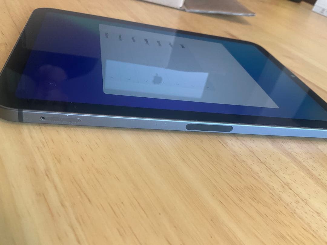 iPad本体 ipad mini6 256GB Cellular apple care