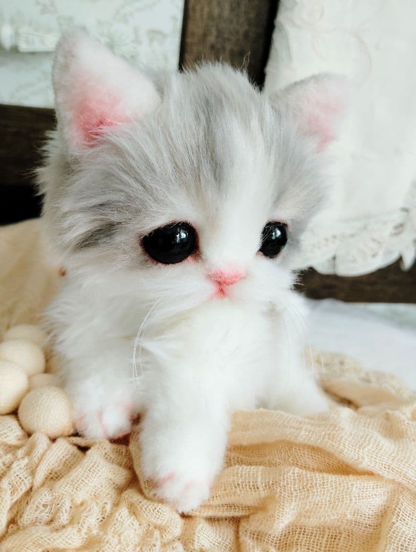 幼猫♡生後２週間♡よちよち期♡子猫の杏ちゃん♡アートドール♡ぬいぐるみ♡