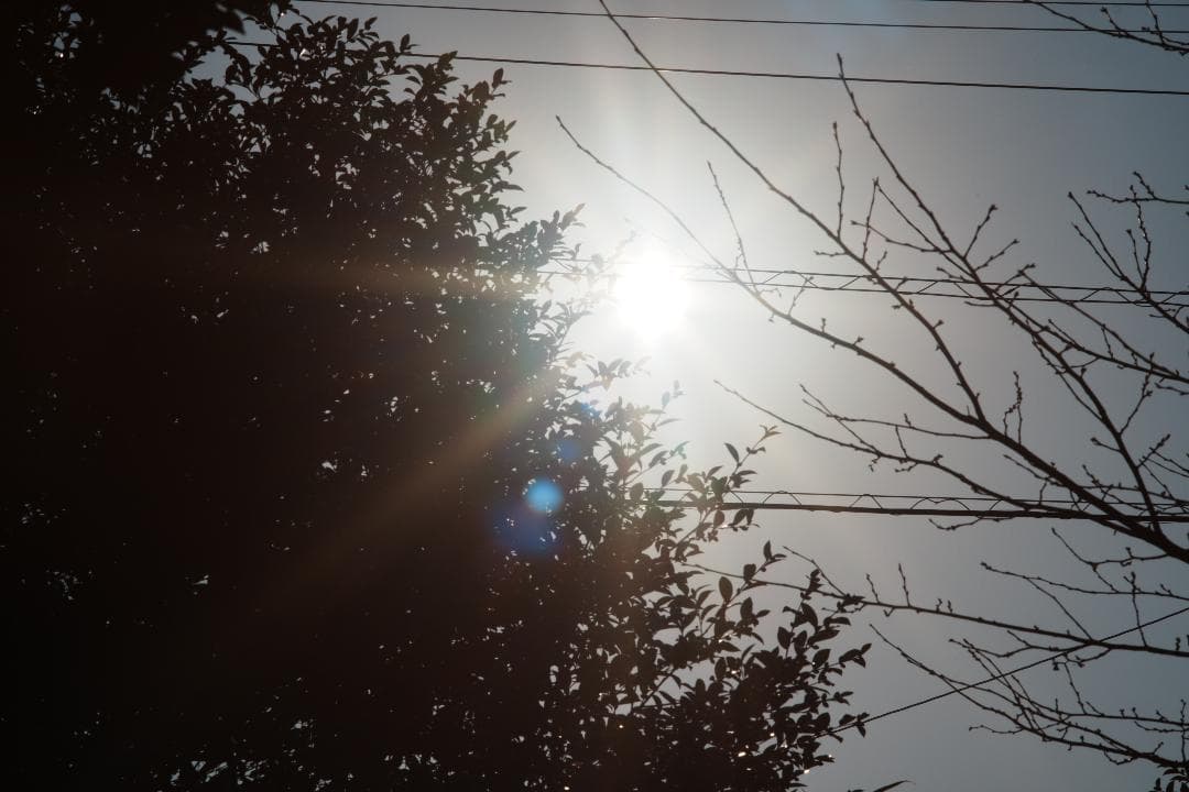 【Lレンズ級】Canon FD 100mm F2.8 S.S.C 899