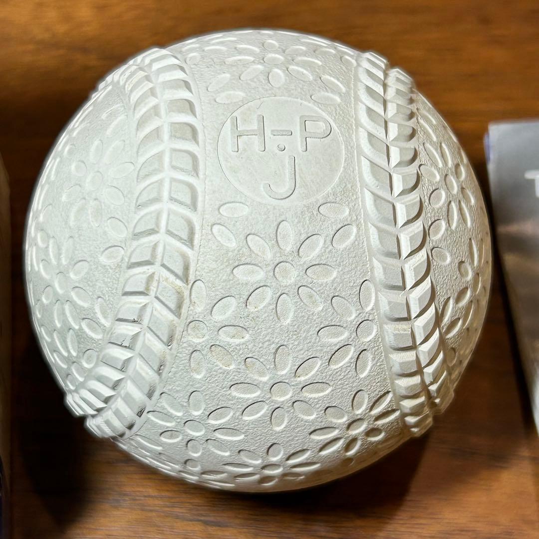 ナイガイ テクニカルピッチ J球