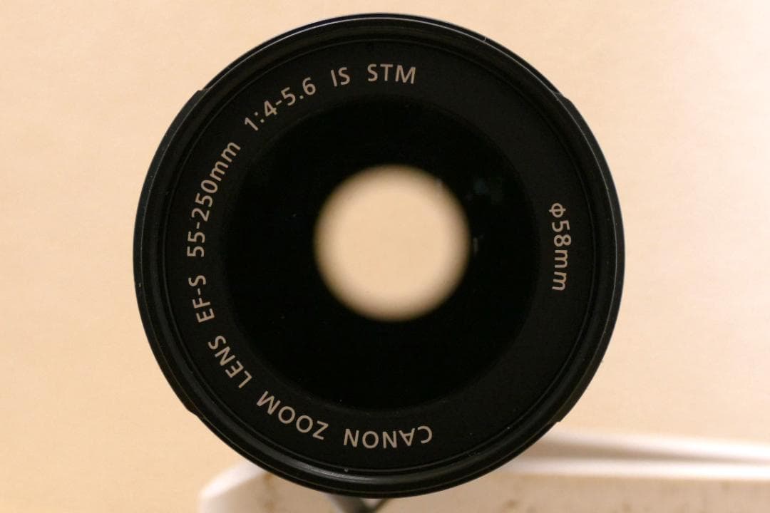 Canon EF-S 55-250mm f4-5.6 IS STM【ジャンク品】