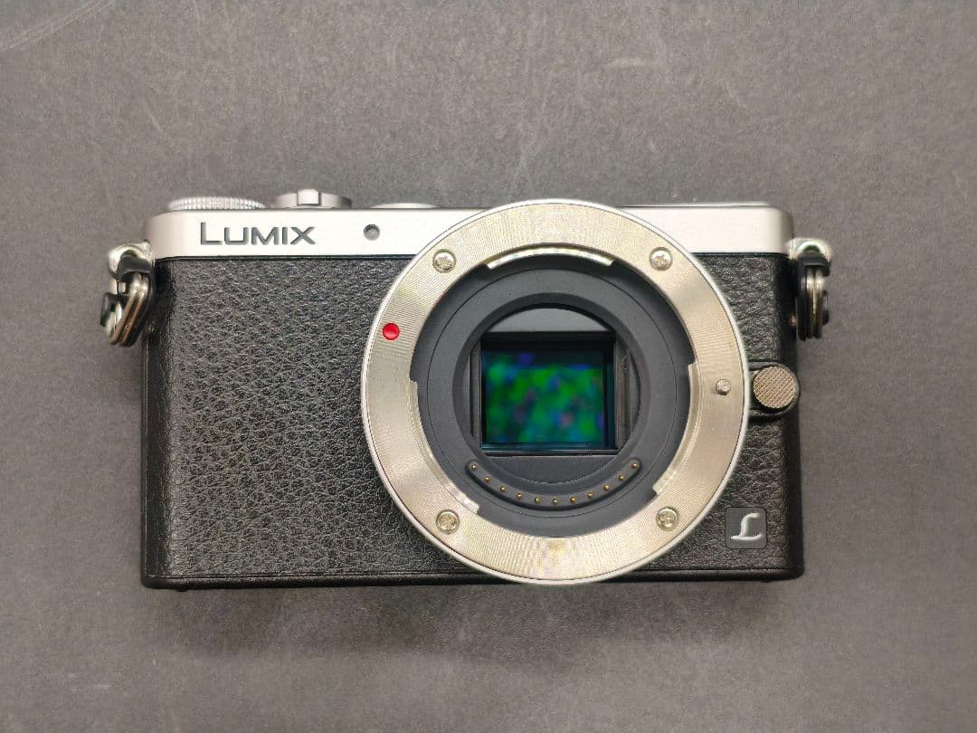 LUMIX DCM-GM1 シルバー Panasonic