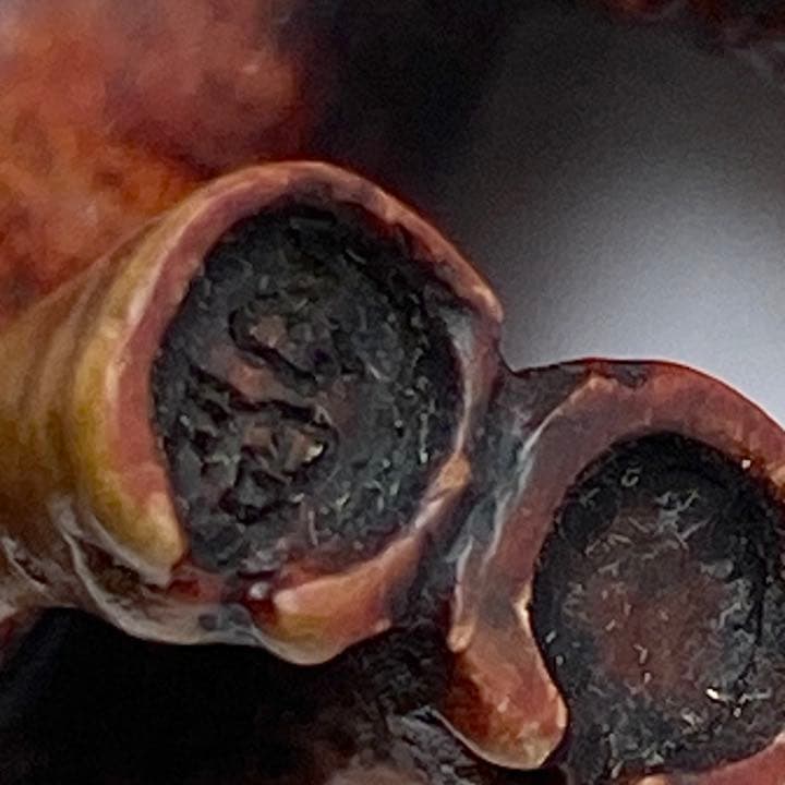 【専用です】伊勢根付・『馬』朝熊黄楊・『正昭』在銘・提げ物