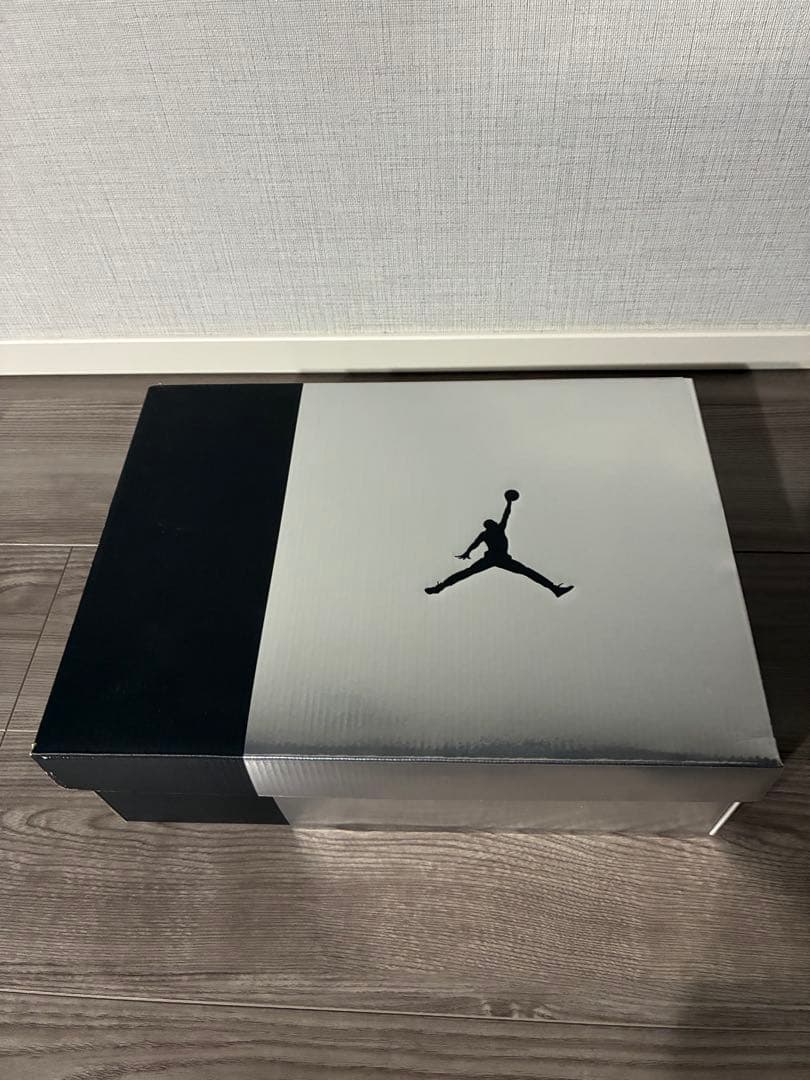 シューズ(男性用) AIR JORDAN 6 RETRO llic Silver 27.0