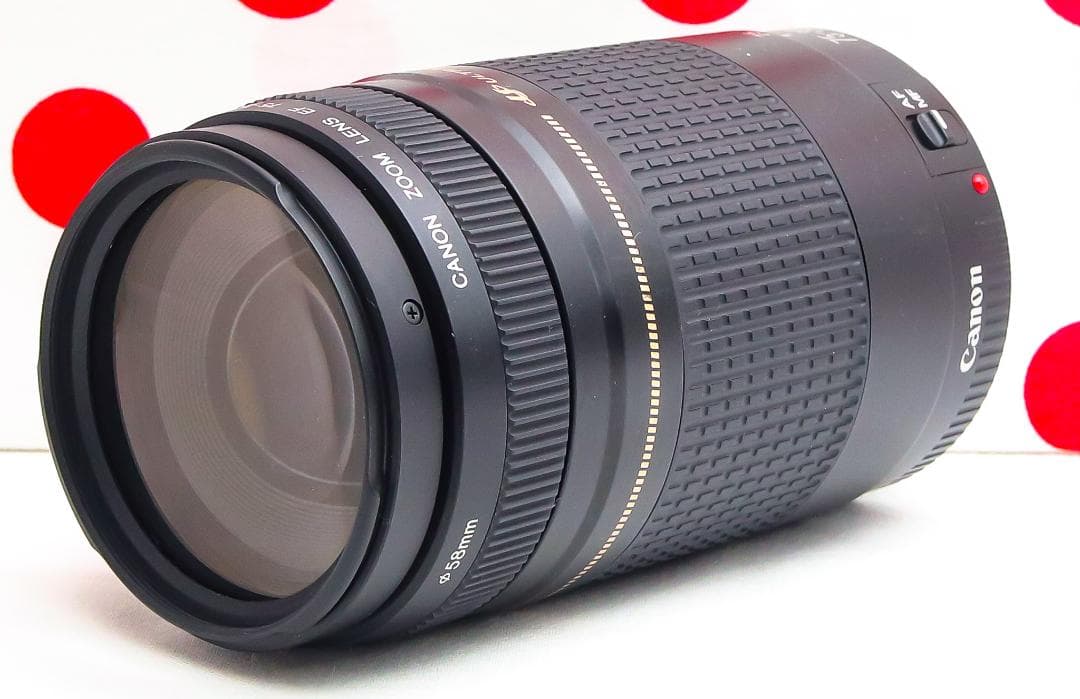 Canon EF 75-300mm USM❤超望遠レンズ❤マウントアダプター付き