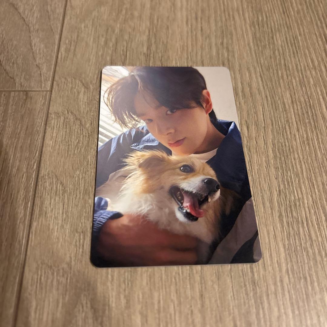 ENHYPEN アンケート 特典 トレカ 2025 ジェイク