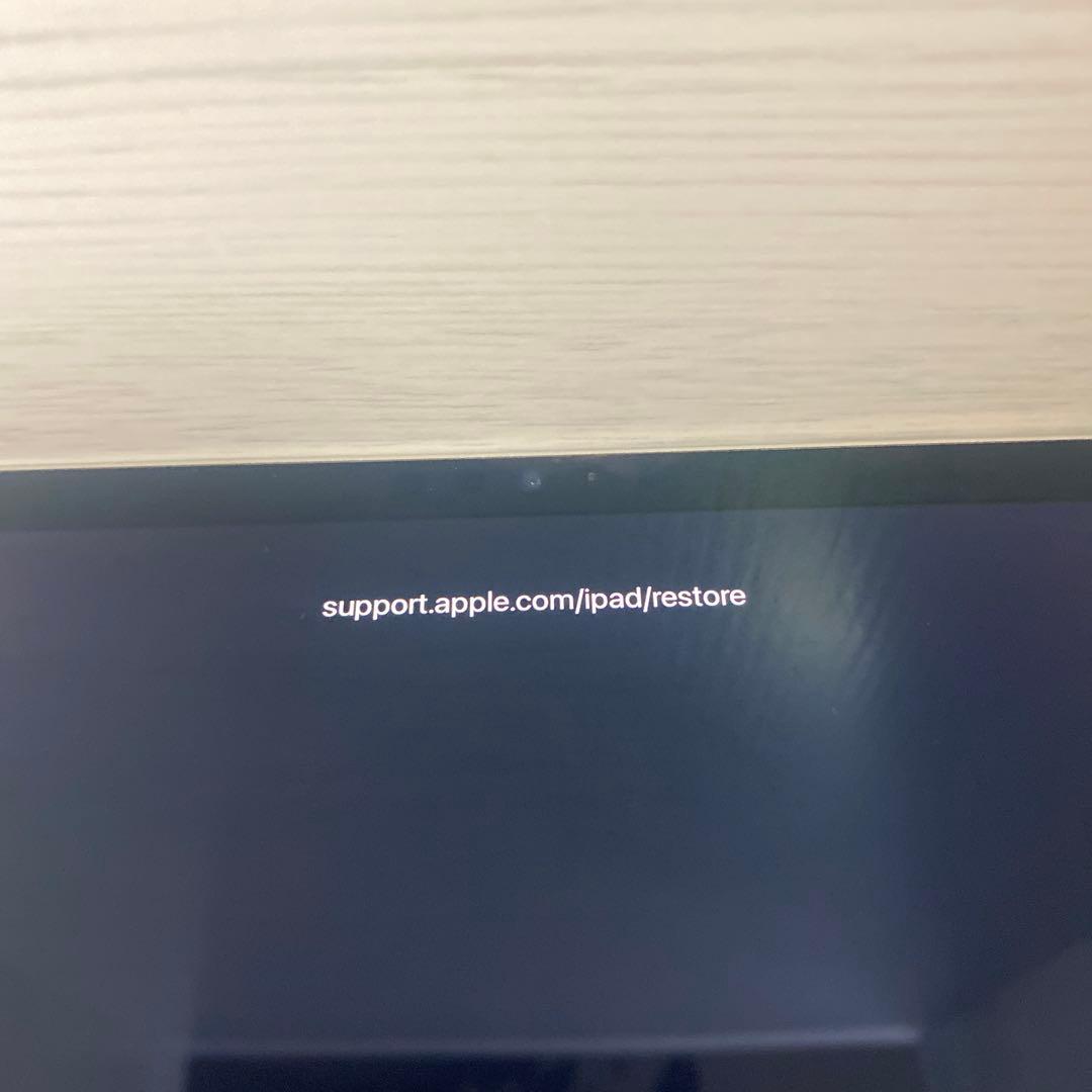 【ジャンク】iPad Pro 11インチ 第4世代 A2759 電源ボタン不良