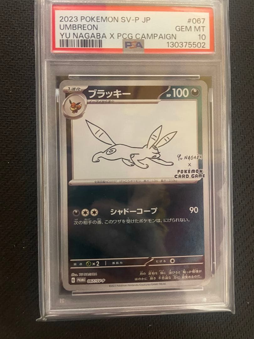 【PSA10】ブラッキー nagaba