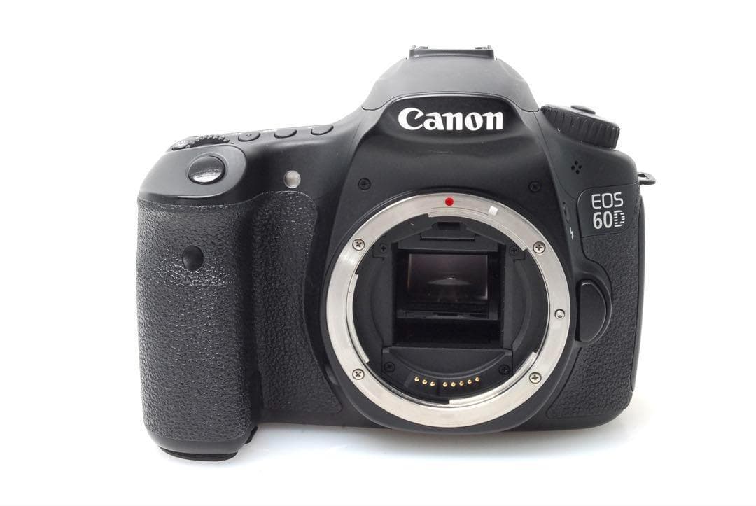 ✨思い出を美しく✨CANON EOS 60D✨ダブルレンズ✨高速連射✨超望遠✨