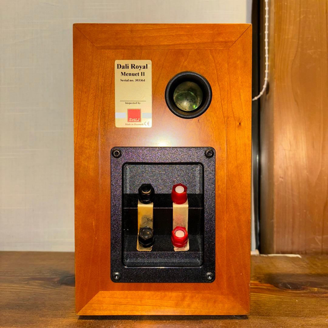 【RITAO CHAN】DALI  Menuet Ⅱ