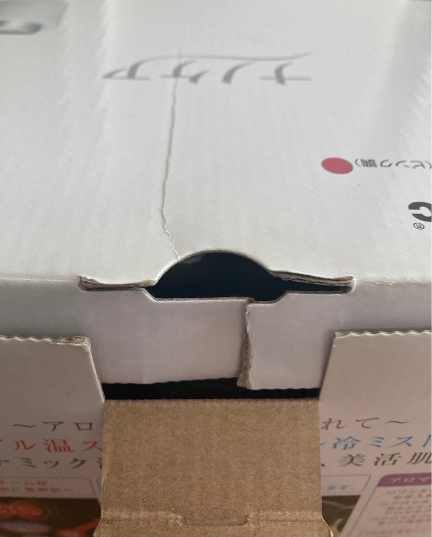 Panasonic ナノスチーマー EH-CSA96-P