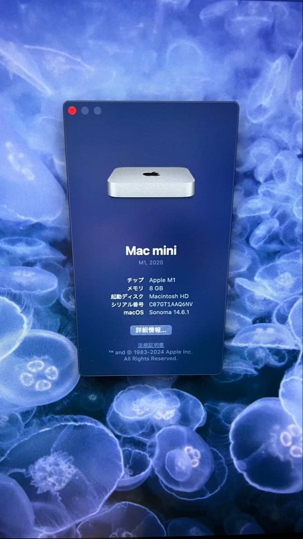 ミニPC Apple Mac mini (2020) 256GB SSD