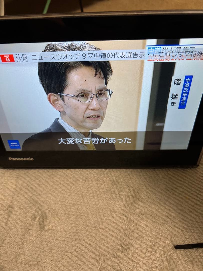 Panasonic プライベート・ビエラ UN-10TD6-K