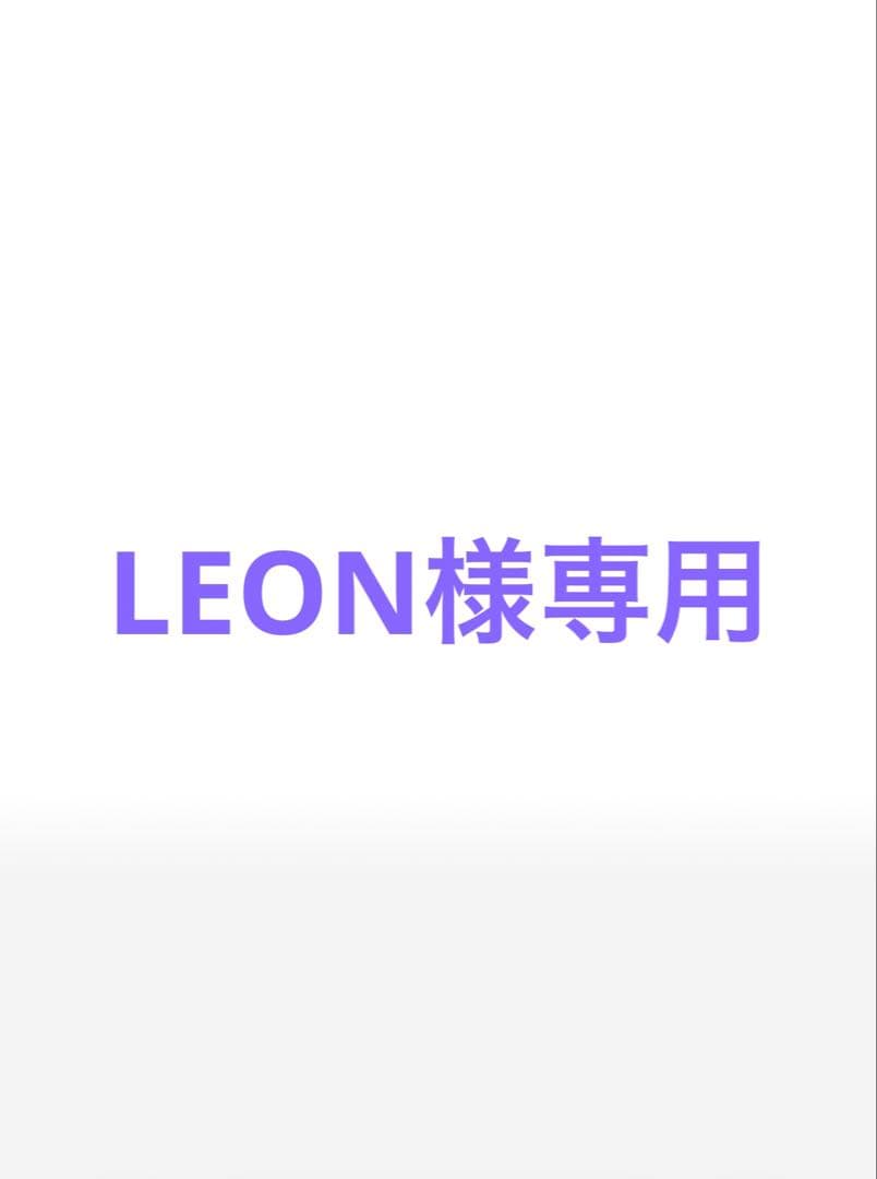 その他 LEON