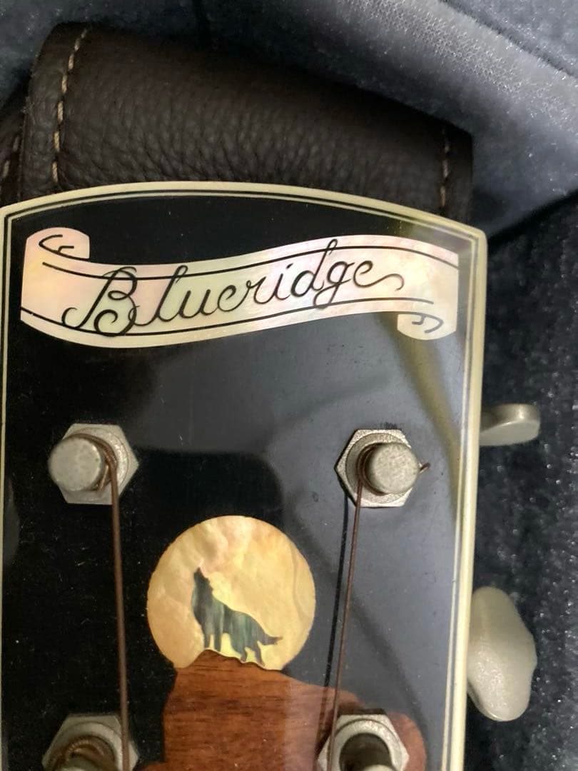 超レア、ヴィンテージギター ブルーリッジの限定モデル「BR-2060」価値有り‼️