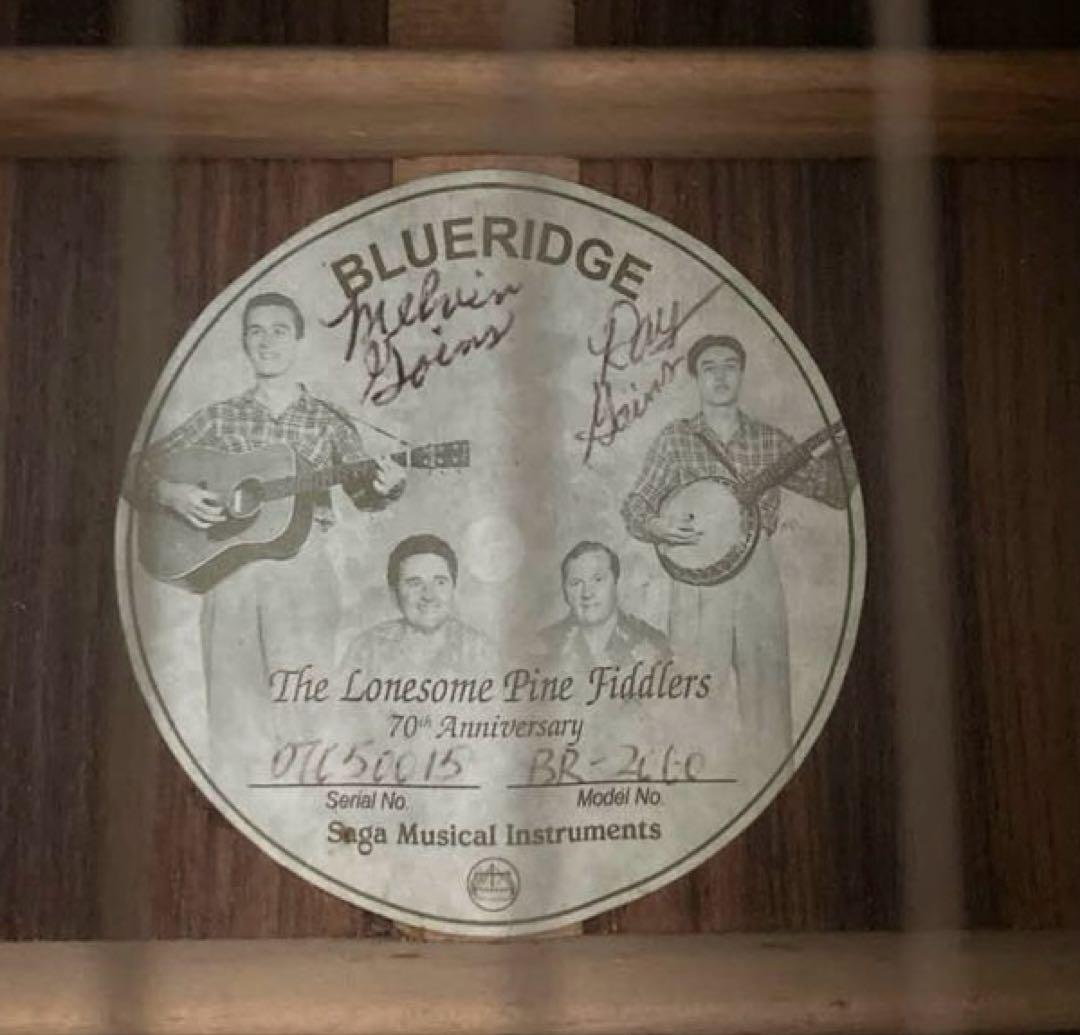 超レア、ヴィンテージギター ブルーリッジの限定モデル「BR-2060」価値有り‼️