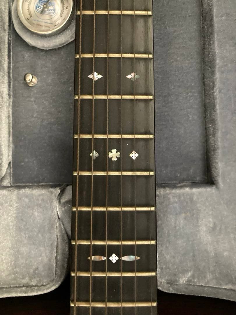 超レア、ヴィンテージギター ブルーリッジの限定モデル「BR-2060」価値有り‼️