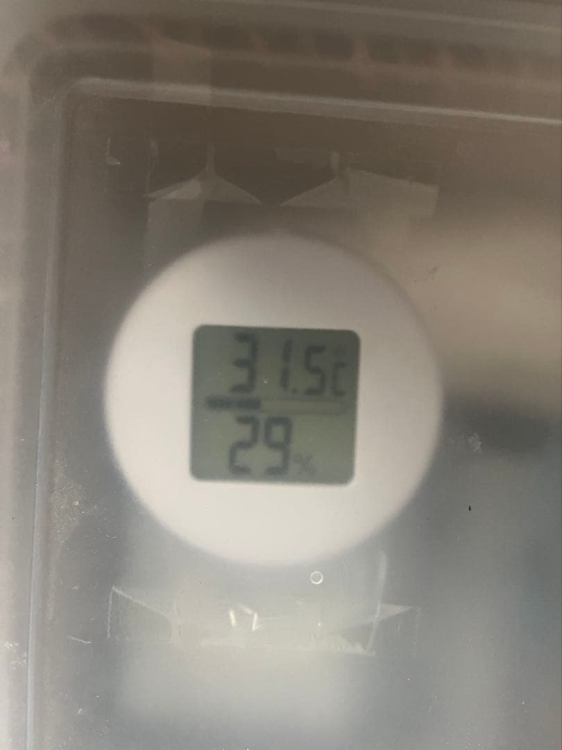 M*n様 Canon EOS RP本体＋給電式バッテリー＋マウントアダプター（R