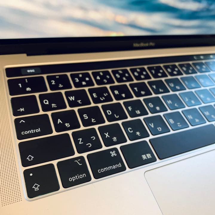 MacBook本体 MacBook Pro MUHR2J/A