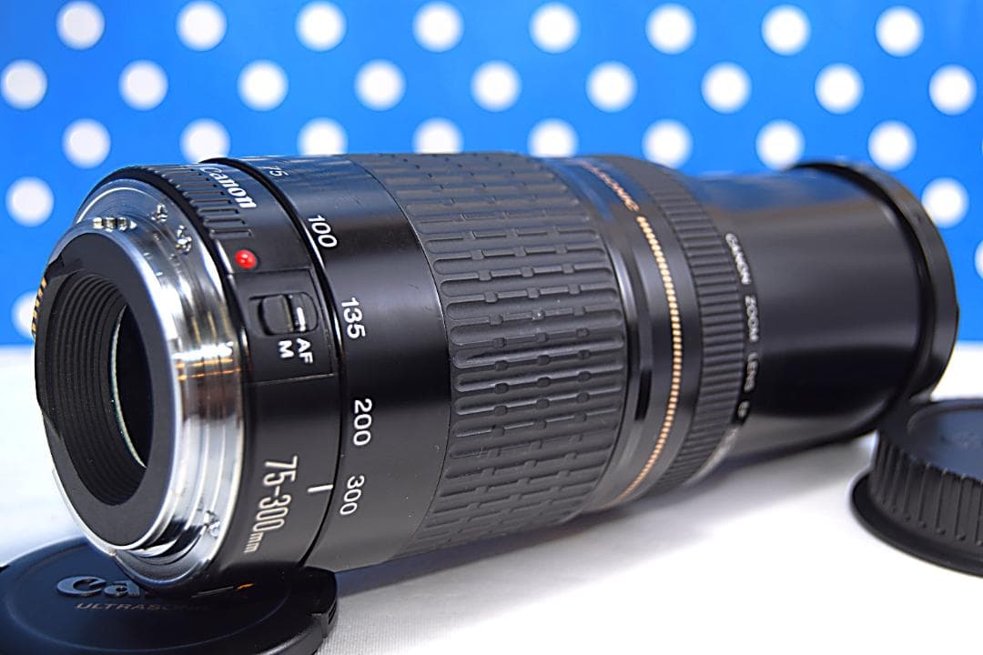 ❤️300mm超望遠レンズ❤️ CANON EF 75-300mm USM