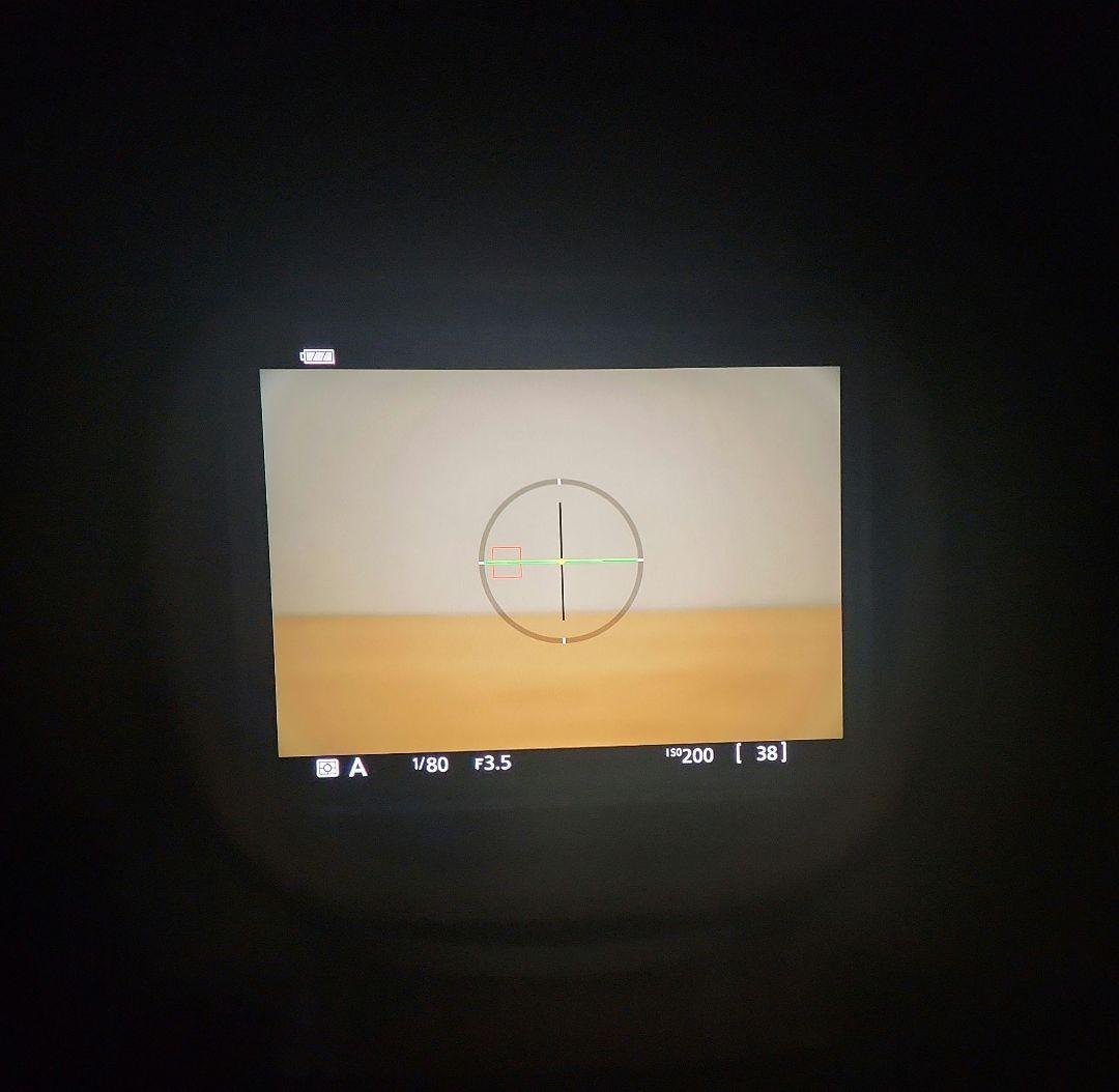 ね*ん様 Nikon Zfcボディ(シルバー)＋16-50mmズームレンズ　セッ