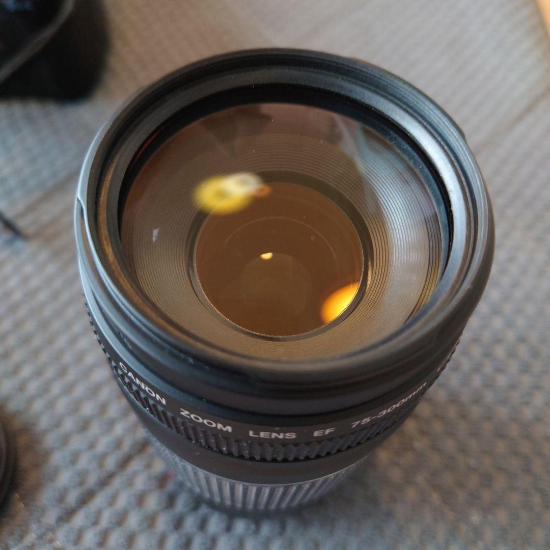 Canon EOS Kiss Digital X 本体とレンズ2本 動作確認済