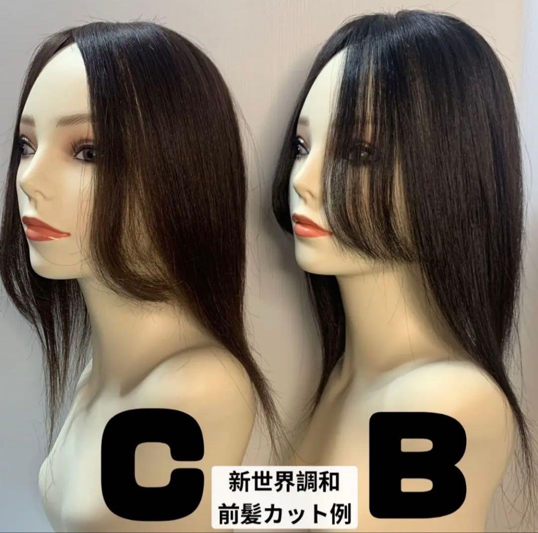 人毛100%　ウィッグ　新世界ご愛用リピーター様割引上限2500円適用専用ページ