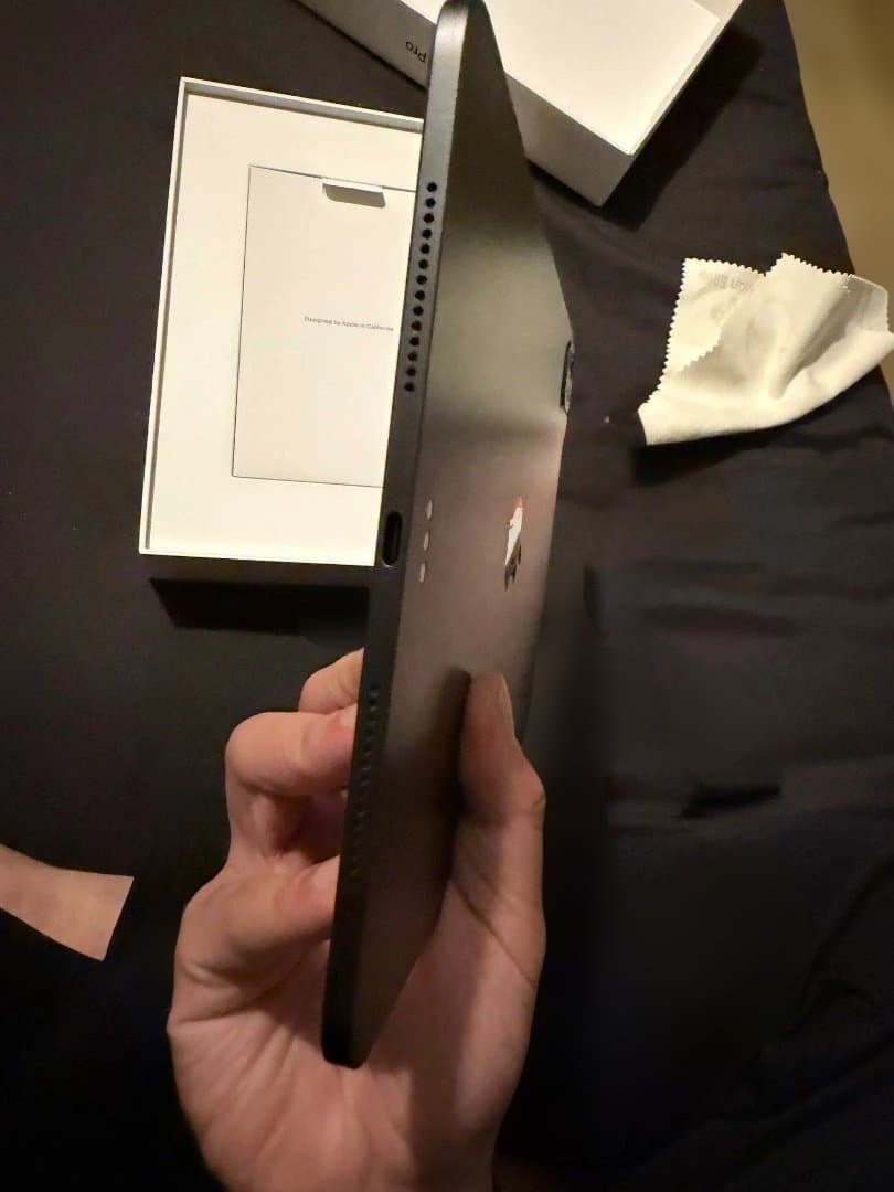 美品 11インチiPad Pro M4 256GB Wi-Fi スペースブラック