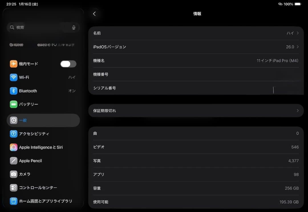 美品 11インチiPad Pro M4 256GB Wi-Fi スペースブラック