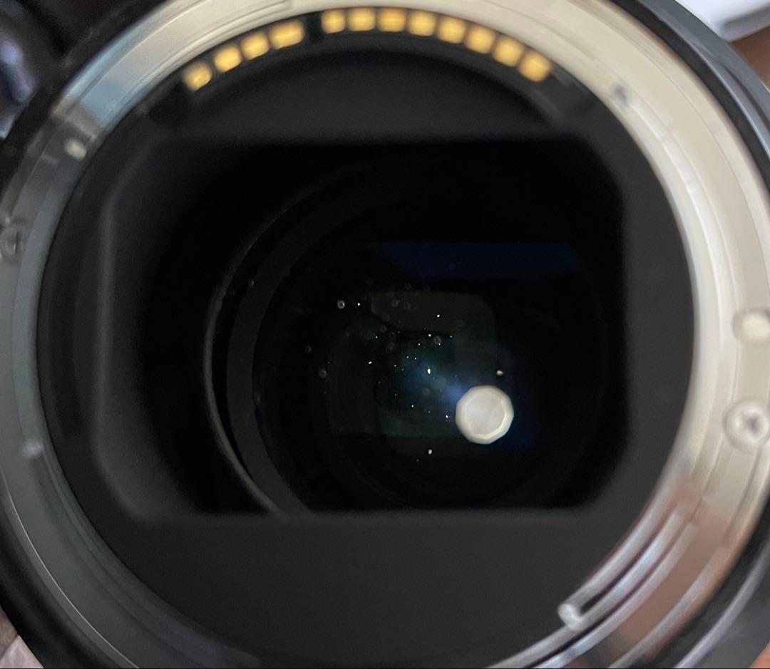 【レンズプロテクター付】Canon RF24-105mm F4 L IS USM