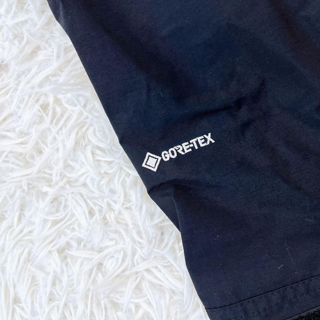 極美品✨希少カラー THE NORTH FACE マウンテンジャケット