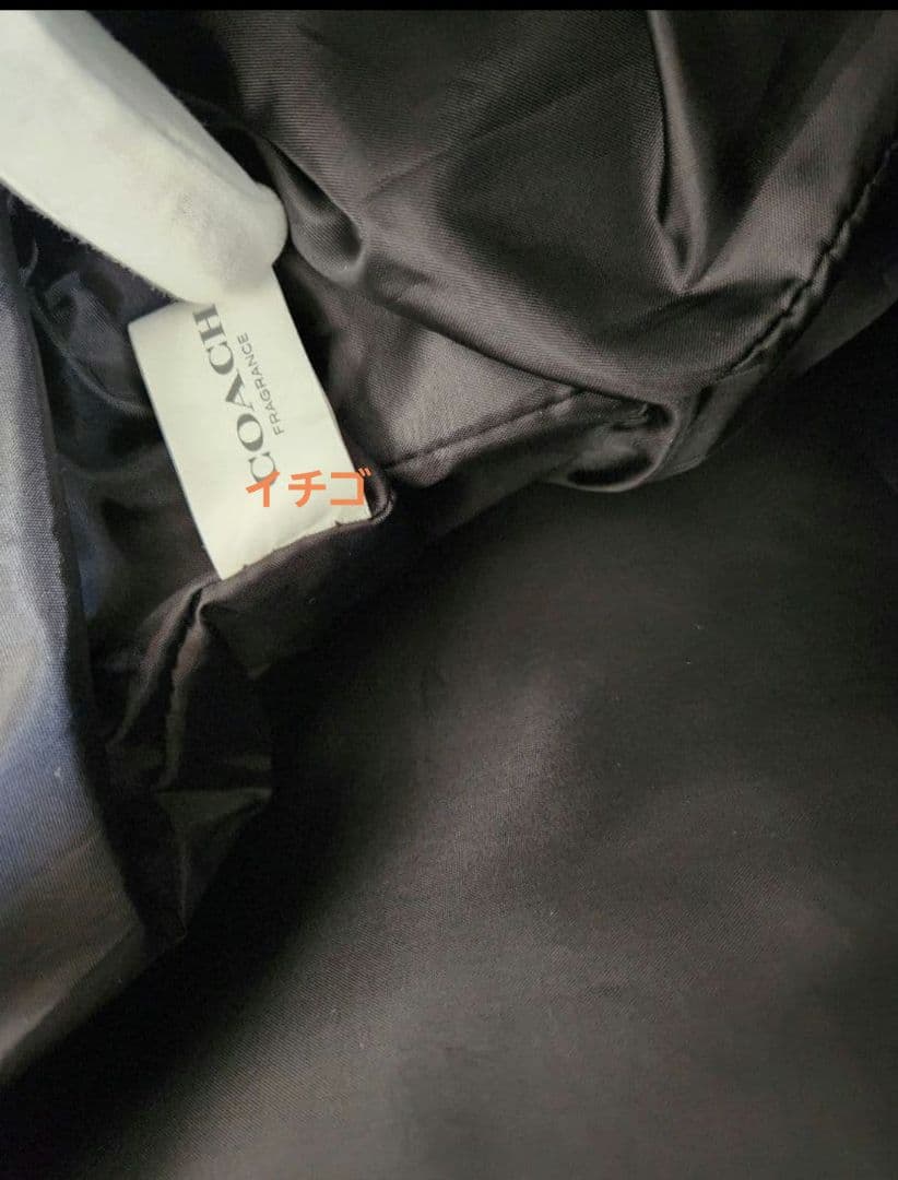 COACH　 正規品ノベルティ　ボストンバッグ　 非売品 　男女兼用　軽量バッグ