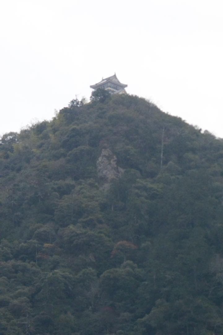 蛇腹デジタルカメラ　手札サイズ　KOKKA　１９５０年